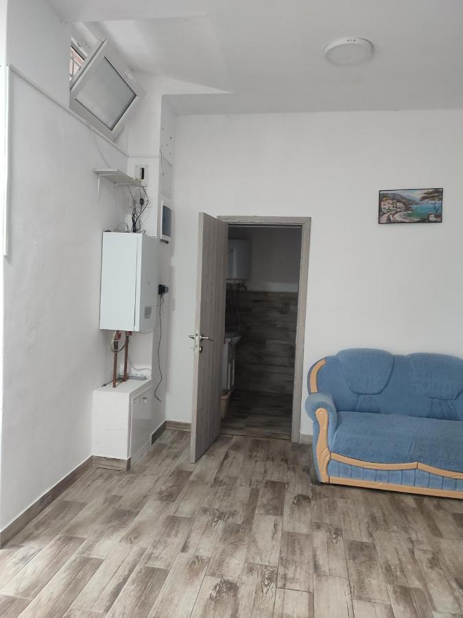 Apartament Karina Baia Mare Bagian luar foto