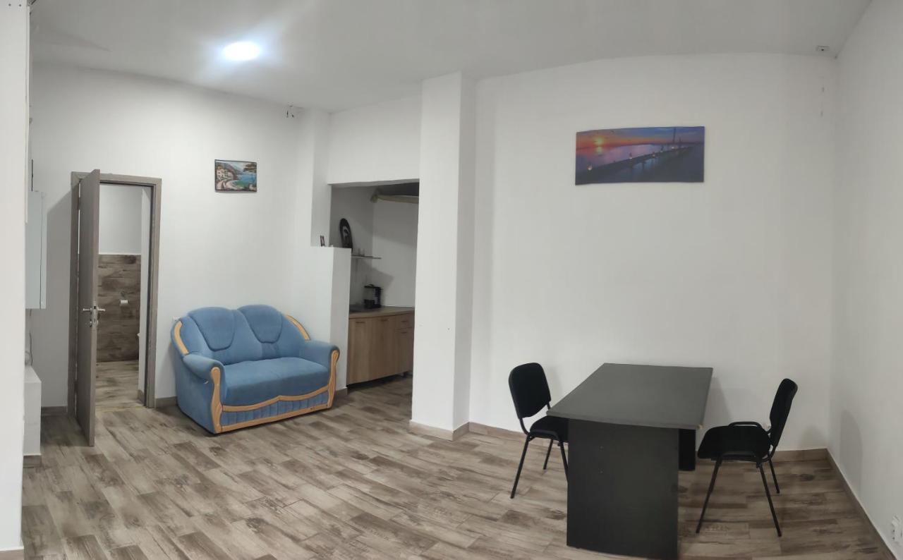 Apartament Karina Baia Mare Bagian luar foto